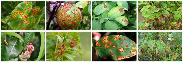 Publication thumbnail