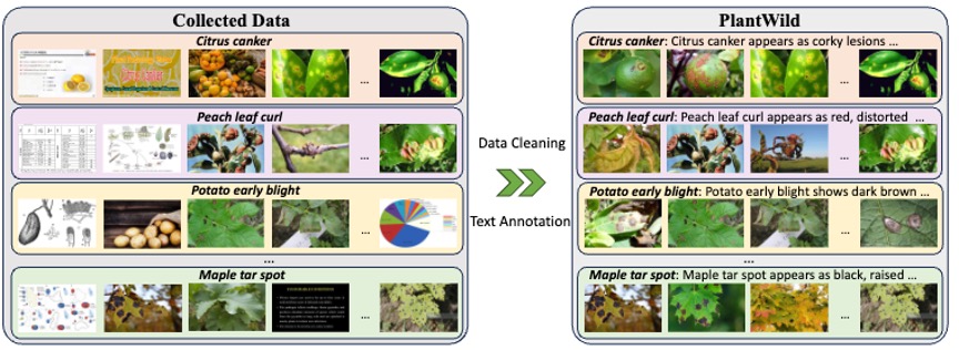 Publication thumbnail